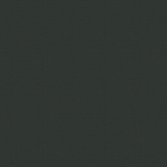 Fairfax™ Linen Solid Lead by Riley Blake Designs