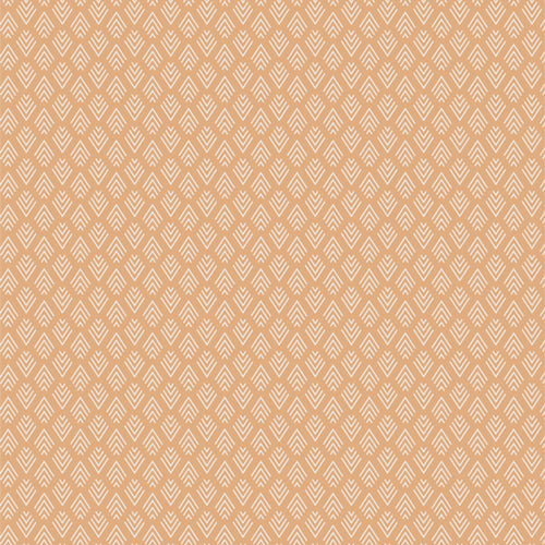 Tumbleweed Arrowhead Quartz by Sharon Holland